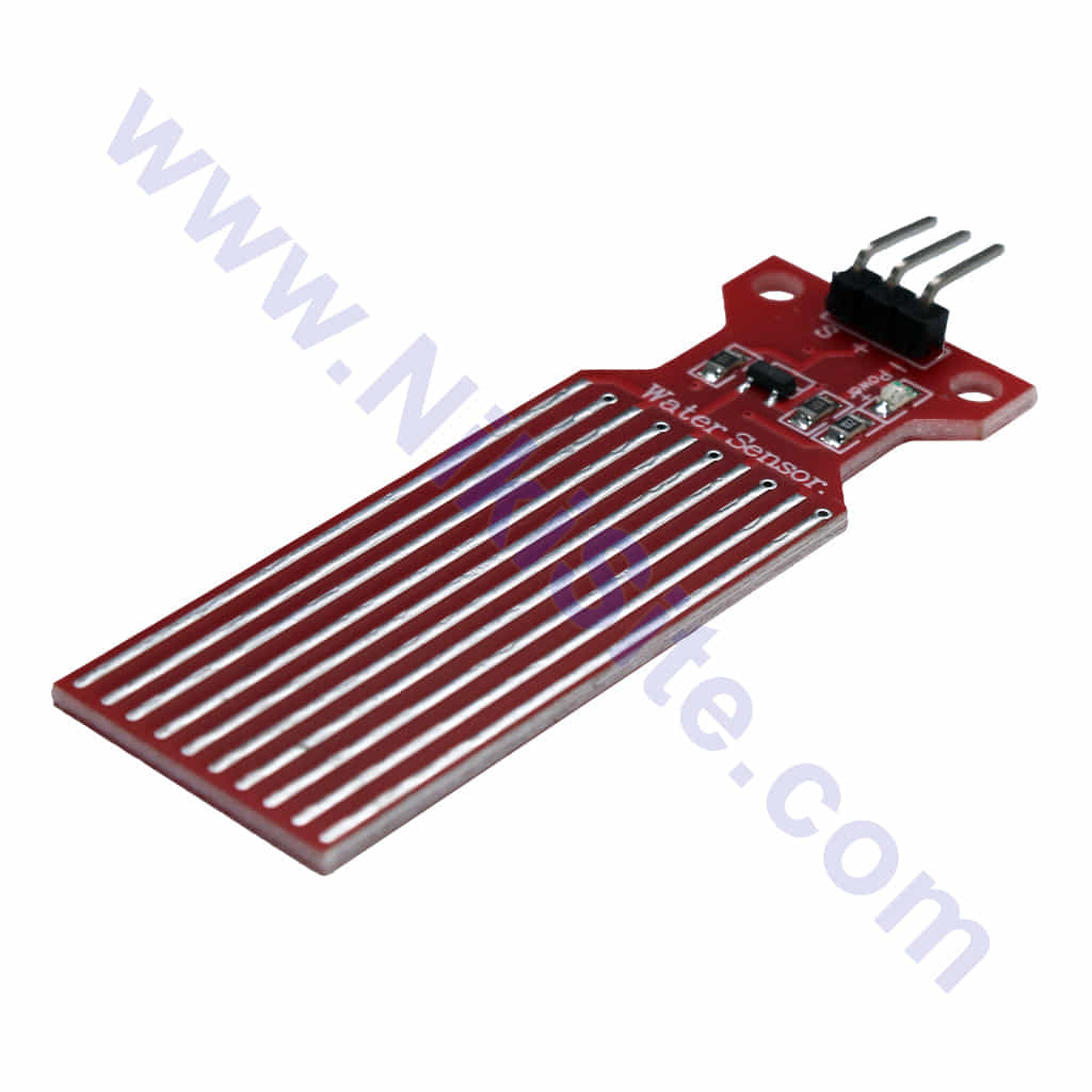 NSM-WALM (1) NSM-WALM