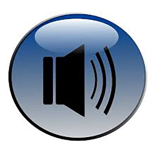 Voices